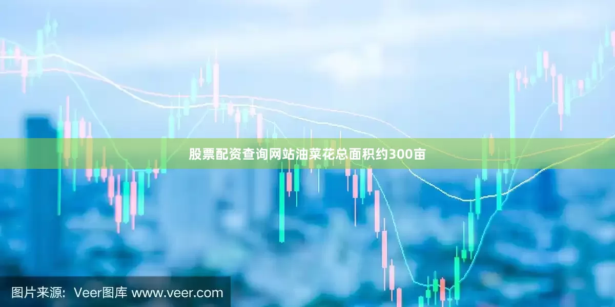 股票配资查询网站油菜花总面积约300亩