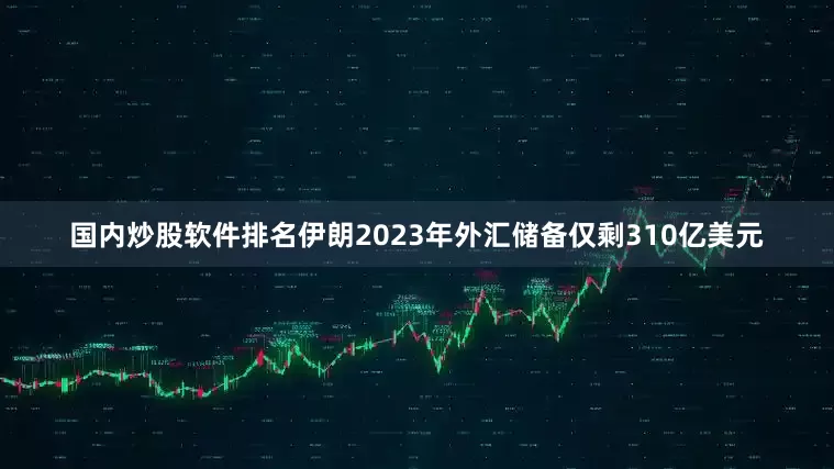 国内炒股软件排名伊朗2023年外汇储备仅剩310亿美元